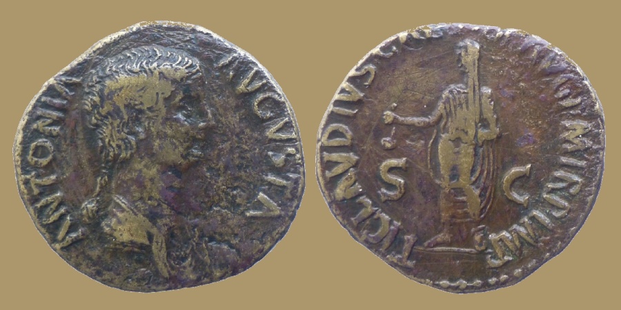 Antonia Ae Dupondius Ti Clavdivs Caesar Avg P M Tr P Imp Roman Imperial Coins