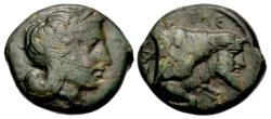 Ancient Coins - Campania, Neapolis. Æ 19 mm. Apollo / Man-headed Bull.