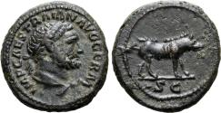 Ancient Coins - Trajan. Æ Quadrans. Hercules / Boar. Heavy Example!