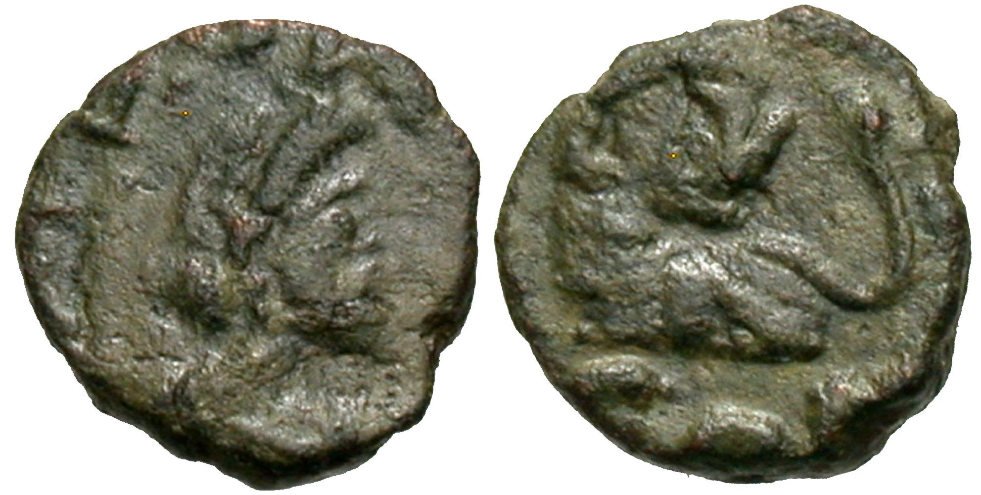 Leo I. Æ 9 mm. Lion Crouching. | Roman Imperial Coins