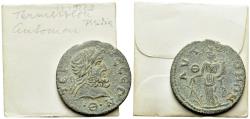 Ancient Coins - Pisidia, Termessus Major. Autonomous Issue. Time of Gallienus. Æ 9 Assaria.