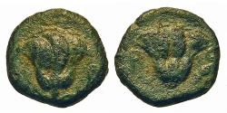 Ancient Coins - Caria, Rhodes. Æ 10 mm. Rose. 