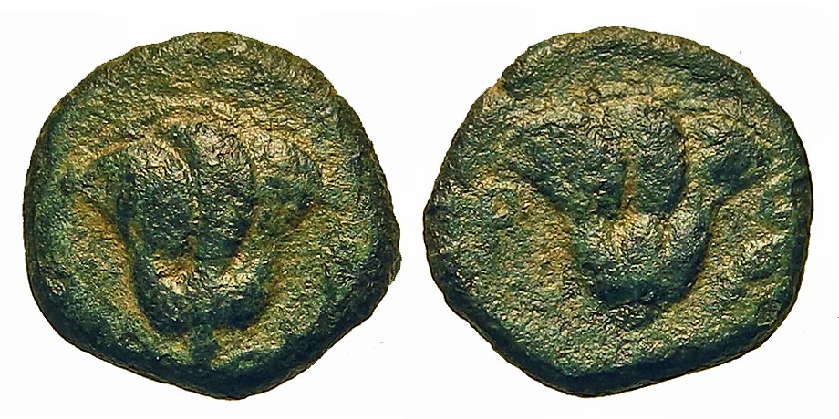 Caria, Rhodes. Æ 10 mm. Rose. | Greek Coins