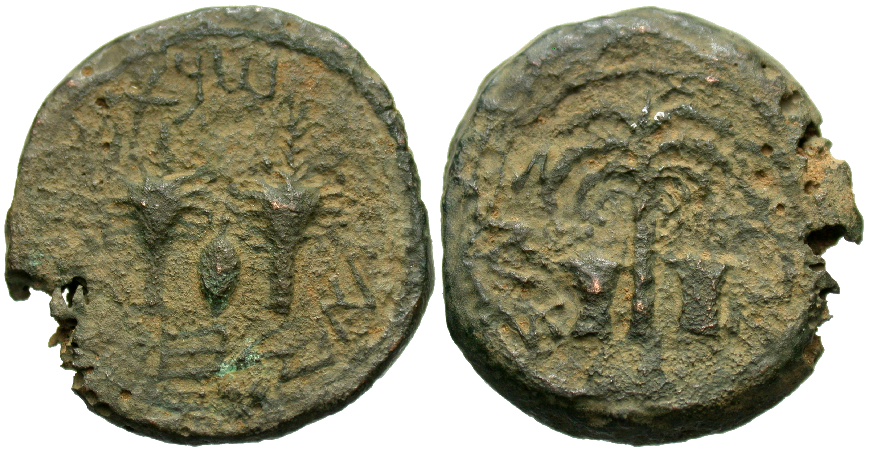 Judaea. Jewish War. Æ Half Shekel. Year Four. | Greek Coins