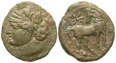 Ancient Coins - Zeugitania, Carthage. Æ Shekel.