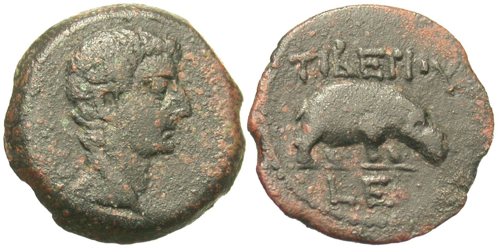 Roman Egypt. Tiberius. Æ Obol. Hippopotamus. | Roman Provincial Coins