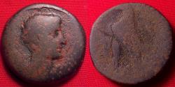 Ancient Coins - OCTAVIAN AE '80 drachmae' piece. Alexandria, Egypt, 30-28 BC. Eagle on thunderbolt, cornucopia before. Crossover type, copying Ptolemaic issues. First coin of Roman Egypt.