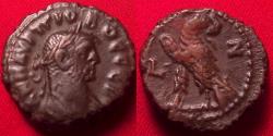 Ancient Coins - PROBUS AE tetradrachm. Alexandria, Egypt. Eagle standing