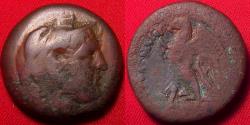 Ancient Coins - PTOLEMY II PHILADELPHOS AE obol. Alexander III in elephant skin headdress. Eagle standing