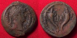 Ancient Coins - HADRIAN AE obol. Two cornucopiae. 126-127 AD. Scarce.