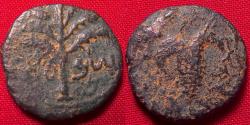 Ancient Coins - BAR KOCHBA REVOLT AE 18mm 'small bronze'. Year 3, 134-135 AD. Bunch of grapes / Date palm. Very scarce.