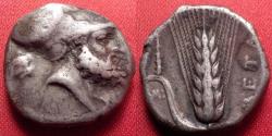 Ancient Coins - LUCANIA, METAPONTUM AR silver stater. Circa 331 BC. Leucippus in Corinthian helmet, lion head behind. Barley grain