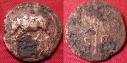 Ancient Coins - DOMITIAN AE quadrans. Rhinoceros advancing. Large branch. Rare.
