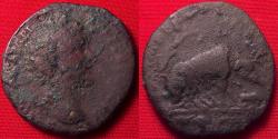 Ancient Coins - ANTONINUS PIUS AE as. Rome, 143-144 AD. IMPERATOR II, Sow suckling piglets underneath oak tree. Very scarce.