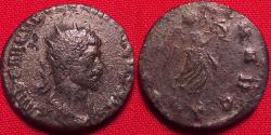 Ancient Coins - QUINTILLUS AE antoninianus. Victoria walking right, holding wreath & palm.