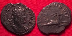 Ancient Coins - GALLIENUS billon antoninianus. Mediolanum, 260-261 AD. Legio I Adiutrix, capricorn flying