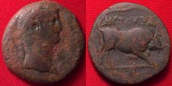Ancient Coins - CLAUDIUS AE 24mm diobol. Alexandria mint. Bull butting right year 5.