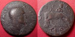 Ancient Coins - MAXIMINUS I THRAX AE 'as'. Alexandria Troas. Horse with handler standing behind. Rare.