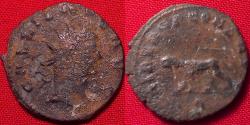 Ancient Coins - GALLIENUS AE antoninianus. LIBERO P CONS AVG, Panther walking left.