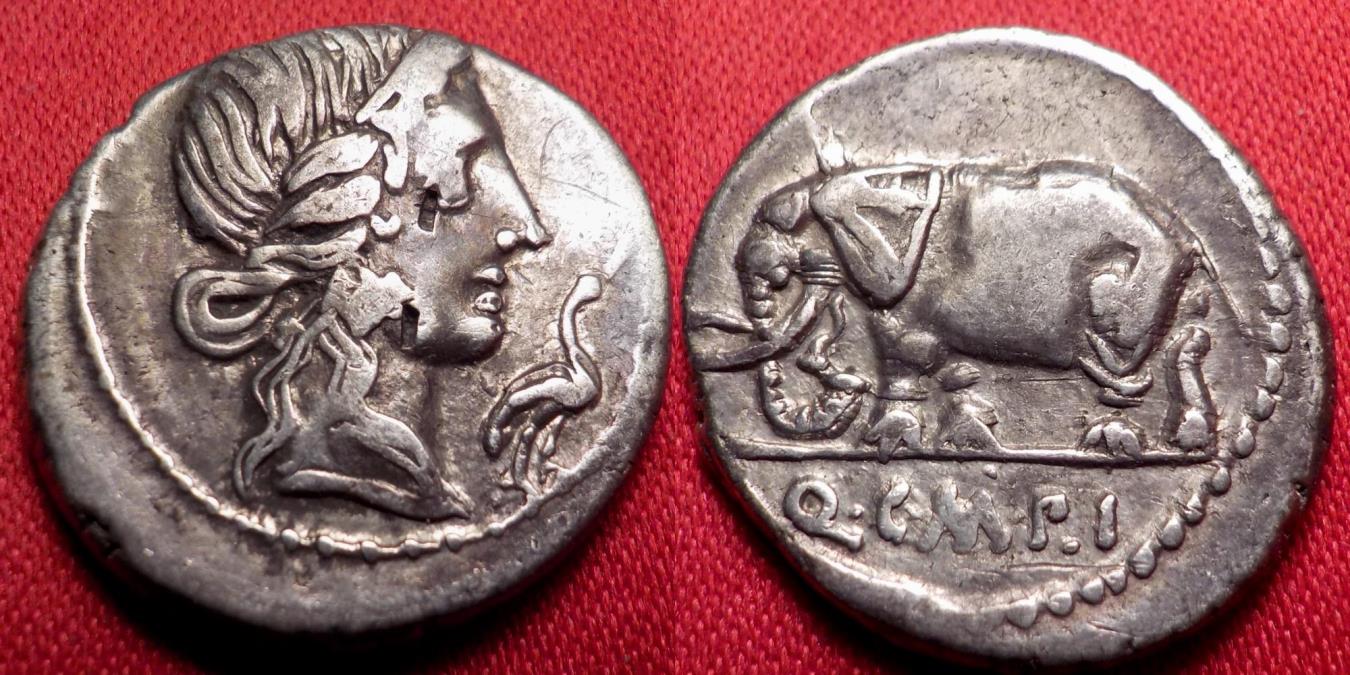QUINTUS CAECILIUS METELLUS PIUS AR silver denarius. Elephant walking