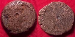 Ancient Coins - PTOLEMY V EPIPHANOS AE middle bronze. 204-180 BC. Wreathed Isis / Eagle on thunderbolt