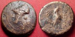 Ancient Coins - CALES, CAMPANIA AE 20mm. 265-240 BC. Athena / Rooster cockerel standing, star beside.