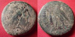 Ancient Coins - PTOLEMY III EUERGETES AE obol. 246-222 BC. Eagle on thunderbolt, club in left field.