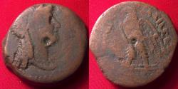 Ancient Coins - PTOLEMY V EPIPHANOS AE large bronze. Eagle with spread wings. 31mm.