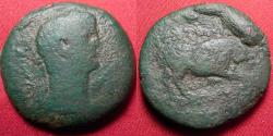 Ancient Coins - CLAUDIUS AE 25mm diobol. Alexandria mint. Bull butting right