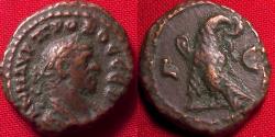 Ancient Coins - PROBUS AE tetradrachm. Alexandria, Egypt. Eagle standing