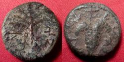 Ancient Coins - BAR KOCHBA REVOLT AE 17mm 'small bronze'. Year 2, 133-134 AD. Bunch of grapes / Date palm. Very scarce.