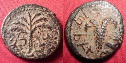 Ancient Coins - BAR KOCHBA REVOLT AE 20mm 'small bronze'. Year 3, 134-135 AD. Bunch of grapes / Date palm. Very scarce.