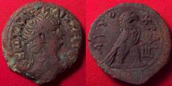 Ancient Coins - NERO AE diobol. Alexandria, 66-67 AD. Eagle standing right. Rare.