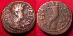 Ancient Coins - AUGUSTUS AE obol. Alexandria, 1-5 AD. Cornucopia