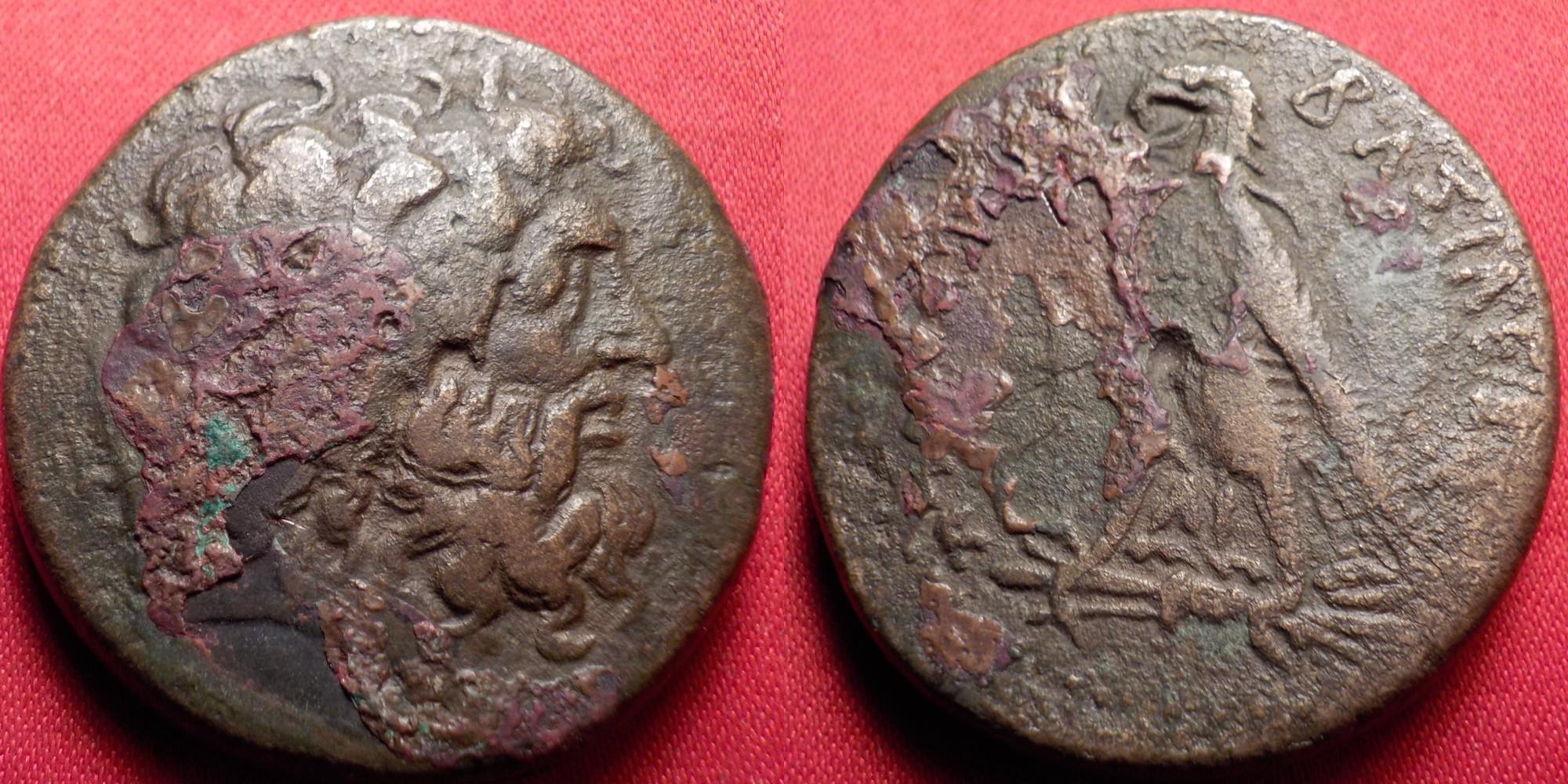 PTOLEMY IV PHILOPATOR AE 34mm hemidrachm. Eagle on thunderbolt