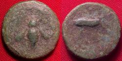 Ancient Coins - EPHESUS, IONIA AE 16mm. 3rd century BC. Bee within laurel wreath, Stag grazing.