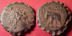 Ancient Coins - ANTIOCHOS VI AE 22mm serrate. Elephant advancing left.