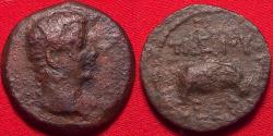 Ancient Coins - TIBERIUS AE obol. Alexandria, 18-19 AD. Hippopotamus standing right. Scarce