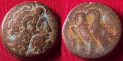 Ancient Coins - PTOLEMY IX & PTOLEMY X AE '40 drachms' (obol). Two eagles. 113-81 BC
