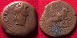 Ancient Coins - DOMITIAN AE obol. Alexandria. Griffin seated, paw resting on wheel. Rare