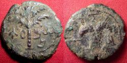 Ancient Coins - BAR KOCHBA REVOLT AE 19mm 'small bronze'. Year 3, 134-135 AD. Bunch of grapes / Date palm. Very scarce