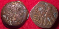 Ancient Coins - PTOLEMY IX & PTOLEMY X AE '40 drachms' (obol). Two eagles. 113-81 BC