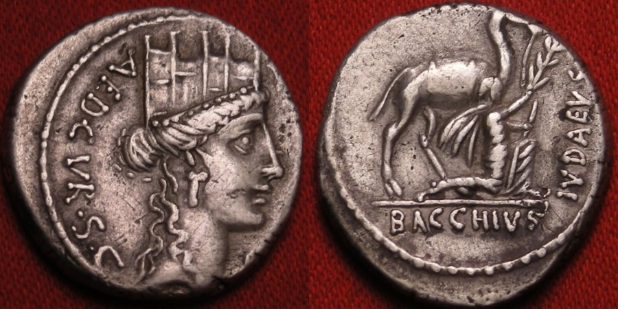 AULUS PLAUTIUS AR silver denarius. Aristobulus, camel train in tow ...