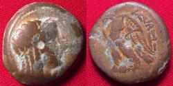 Ancient Coins - PTOLEMY V EPIPHANOS AE 19mm. Isis / Eagle. Scarce.