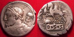 Ancient Coins - TI QUINCTIUS AR silver denarius. Bust of Hercules, holding club. Desultor with spare horse on reverse. Scarce, attractive.