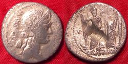 Ancient Coins - C EGNATIUS MAXSUMUS AR silver denarius. ROMA & VENUS standing, Venus caressed by Cupid, oar & prow on either side. VF & rare.