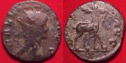 Ancient Coins - GALLIENUS AE antoninianus. DIANAE CONS AVG, Stag walking right
