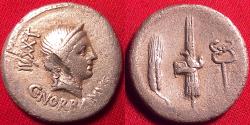 Ancient Coins - C NORBANUS AR silver denarius. Bust of Venus, Fasces, caduceus & corn ear. Numbered die series