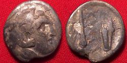 Ancient Coins - KALLATIS, MOESIA AR silver hemidrachm. 3rd-2nd century BC. Herakles / Grain ear, club & bowcase. Scarce.