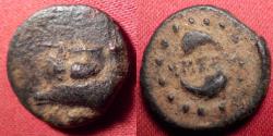 Ancient Coins - MEGARA, MEGARIS, AE dichalkon. 350-275 BC (Pre-Achaean League). Prow / 2 dolphins.